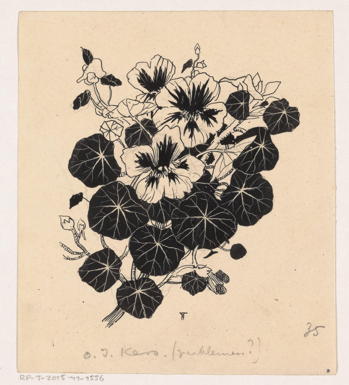 Východoindická třešeň od Henri Verstijnen (signed by artist)