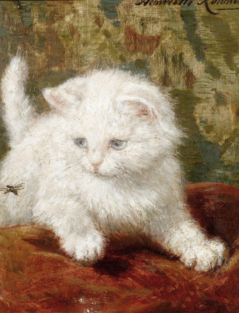 Zvědavost od Henriëtte Ronner Knip