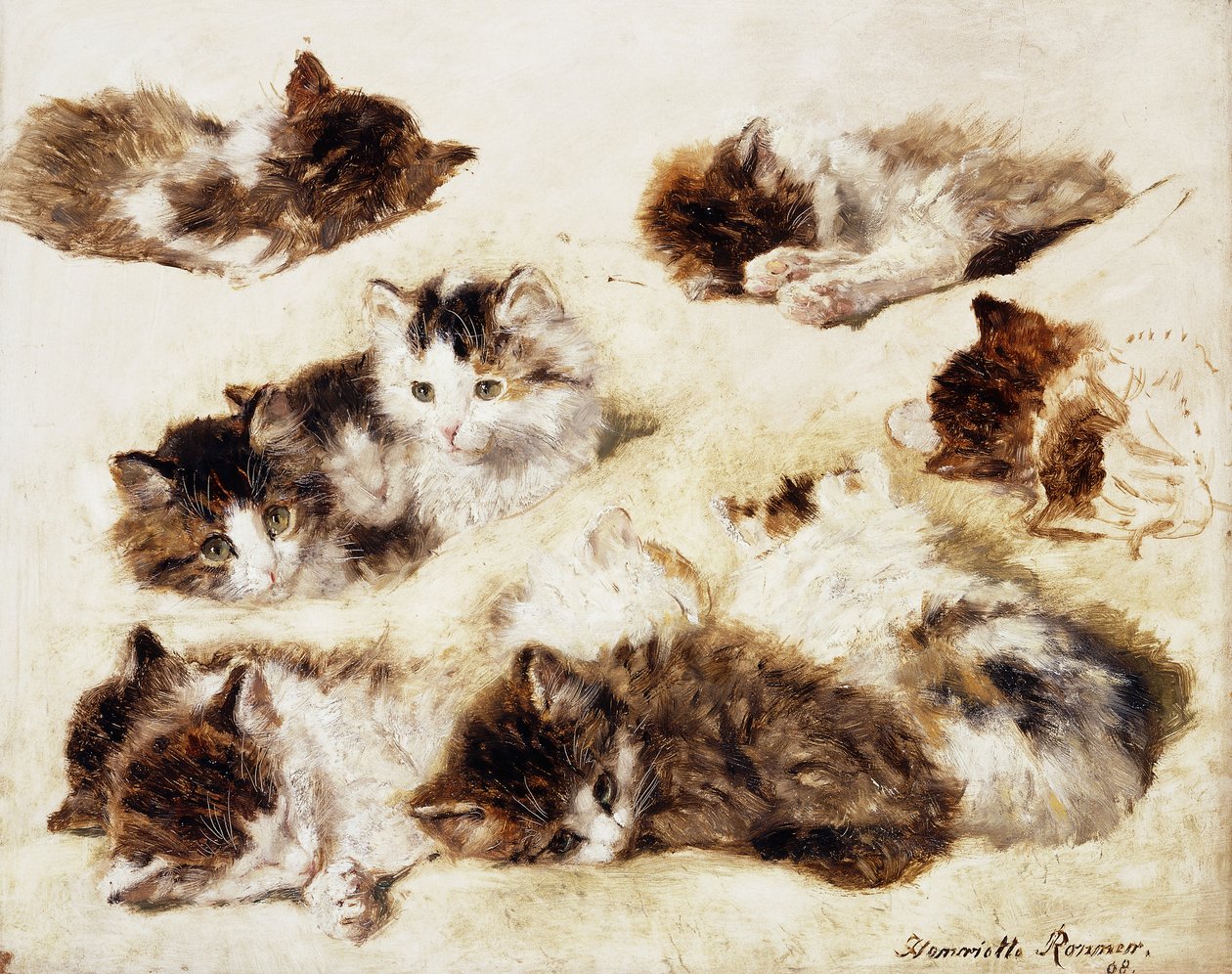 Studie koťat, 1898 od Henriëtte Ronner Knip