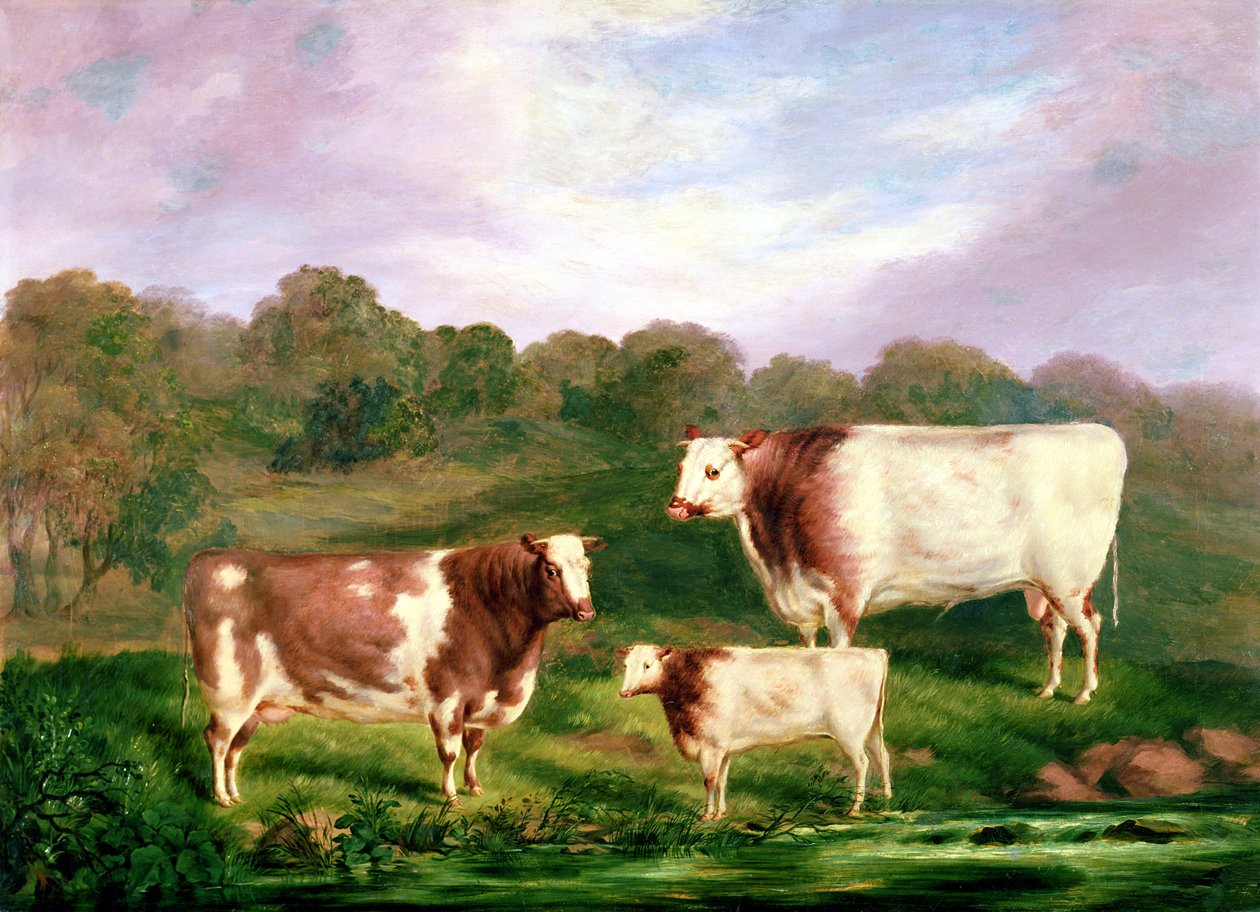 Rodokmeny Towneley, 1858-61 od Henry Barraud