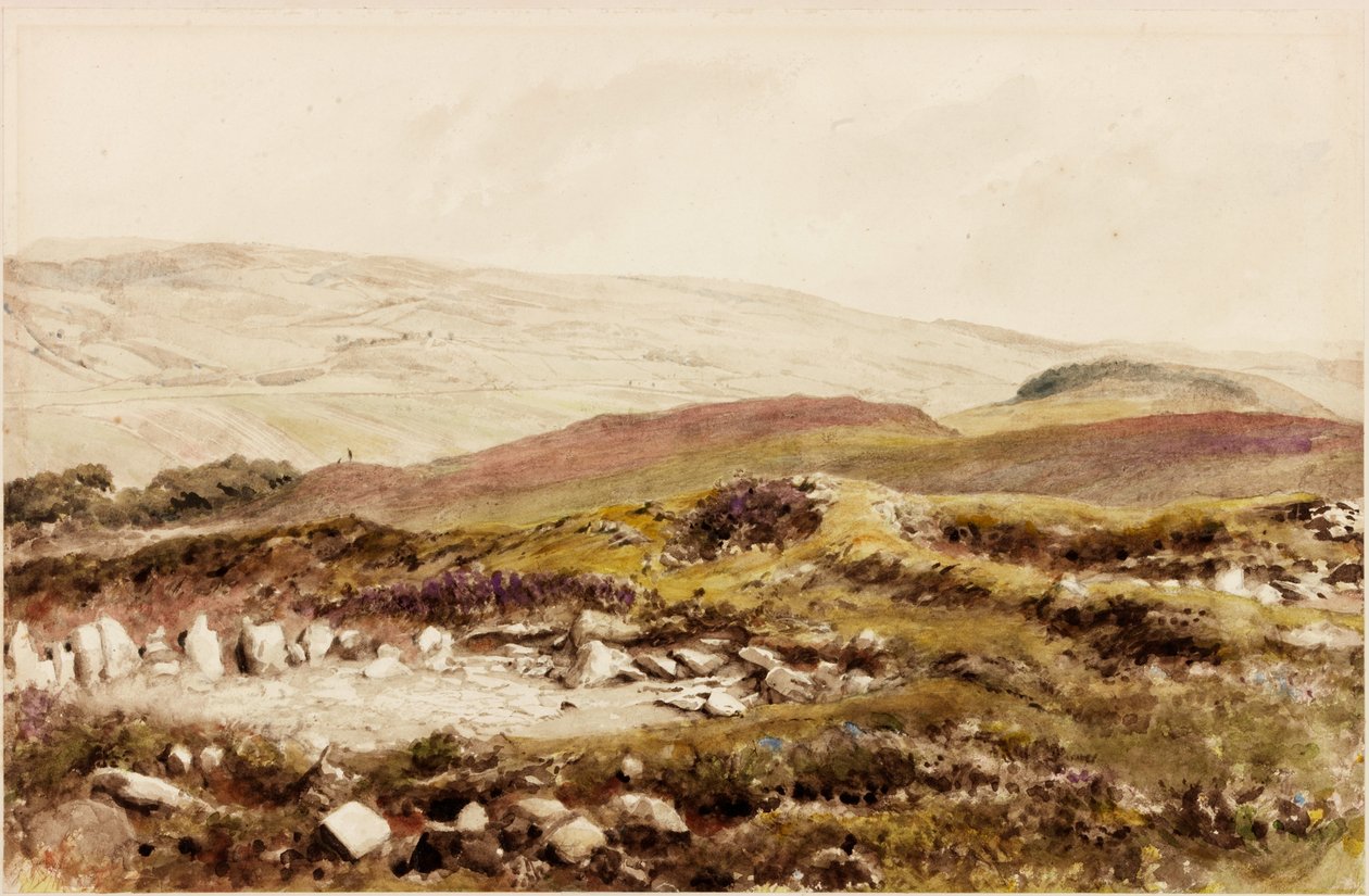 Bremenium (Rochester) (barva těla) od Henry Burdon Richardson