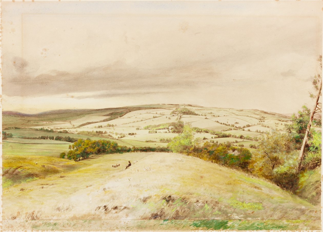 Brunton Bank (barva těla) od Henry Burdon Richardson