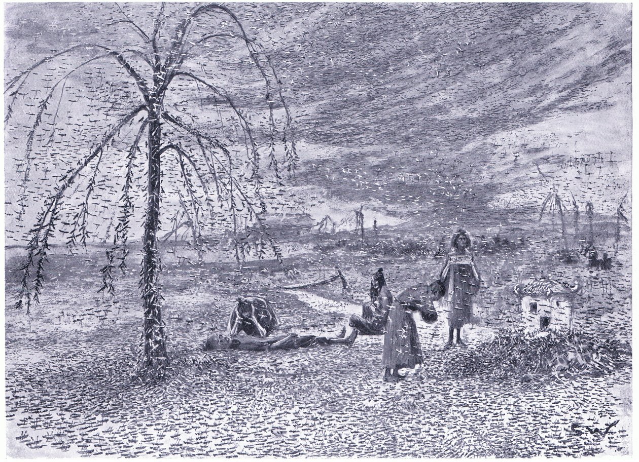 Mor kobylek od Henry Charles Seppings Wright