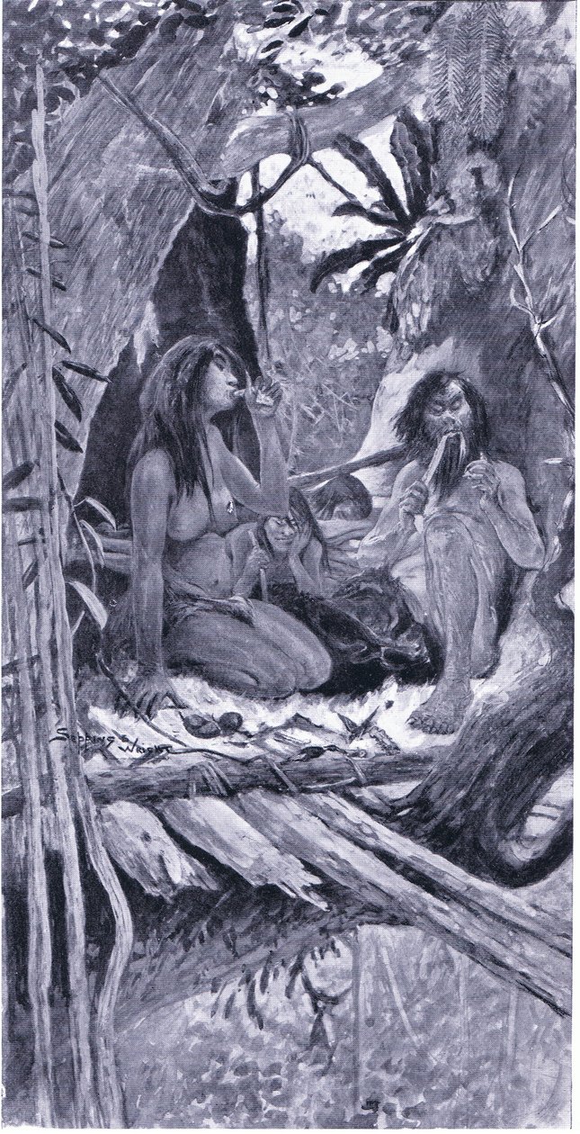Prehistorický čínský obyvatel stromů od Henry Charles Seppings Wright