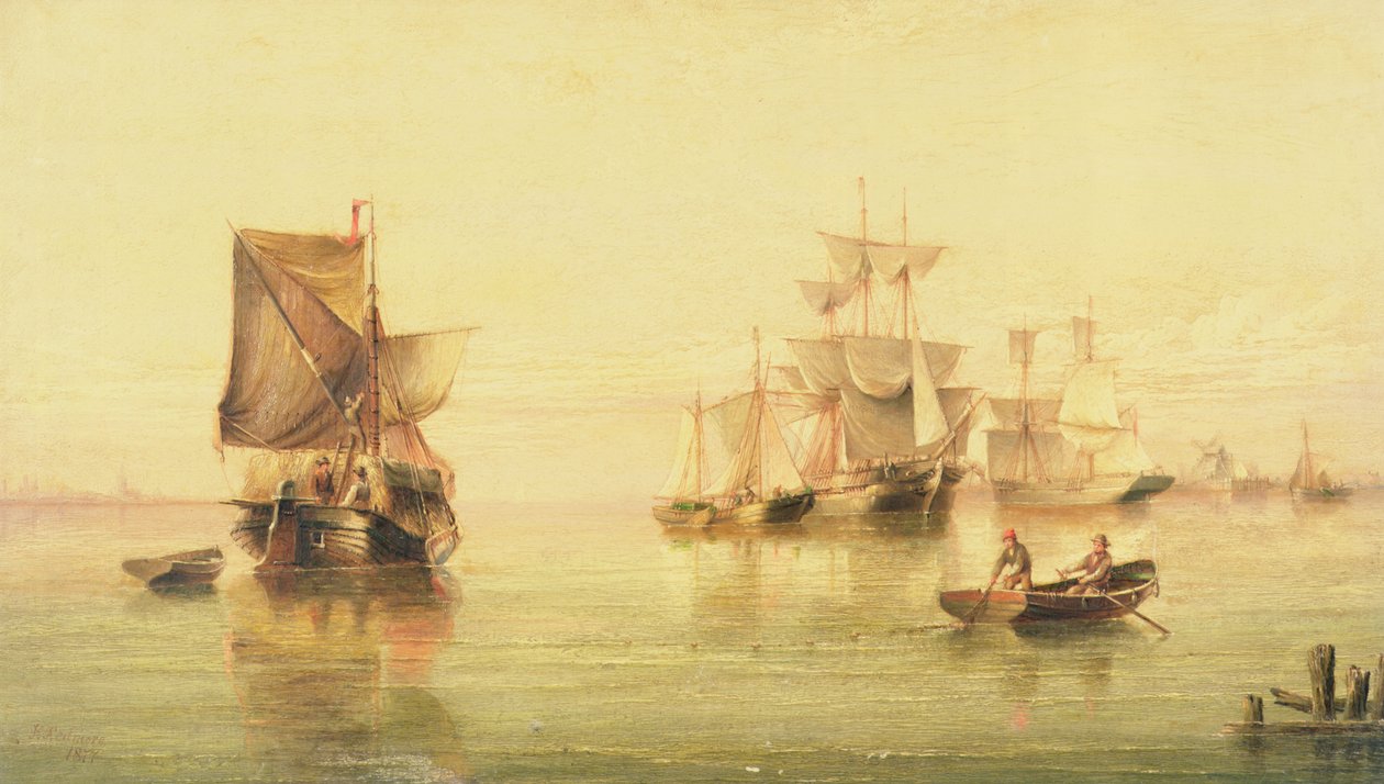 holandské růžové od Henry Redmore
