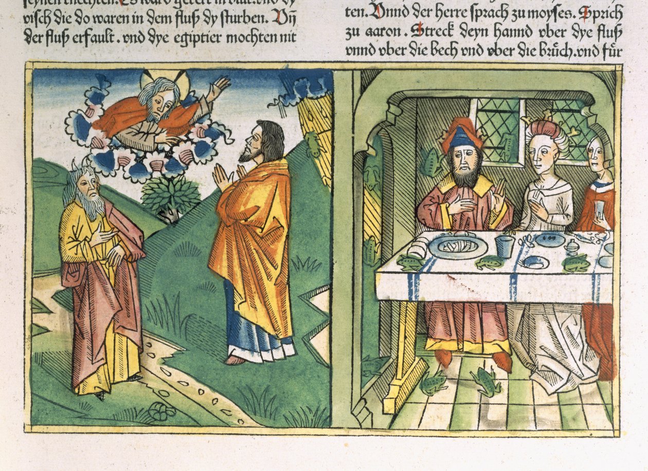 Exodus 8 1-15 Sedm ran Egypta: Mojžíš a mor žab, z „Norimberské bible (Biblia Sacra Germanaica)“ (barevný dřevoryt) od Henry Room