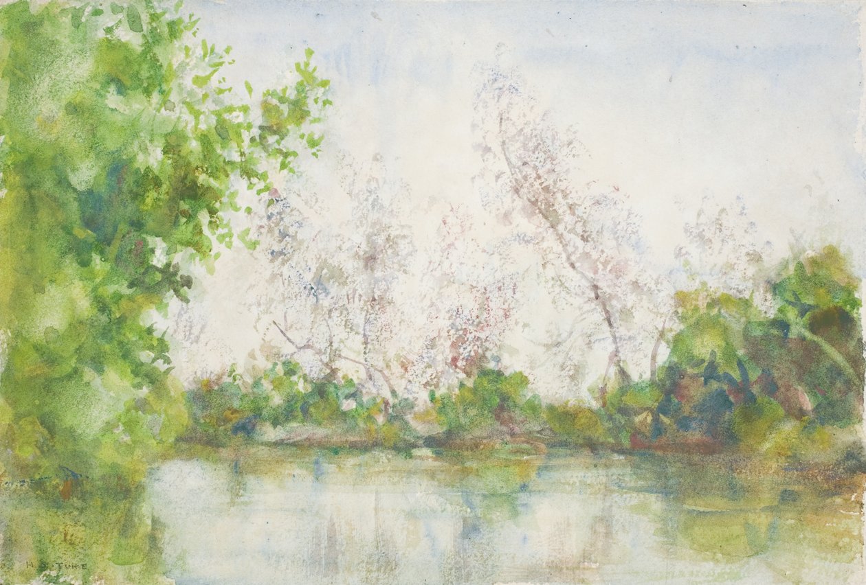 Mangrove Swamp, 1924 od Henry Scott Tuke