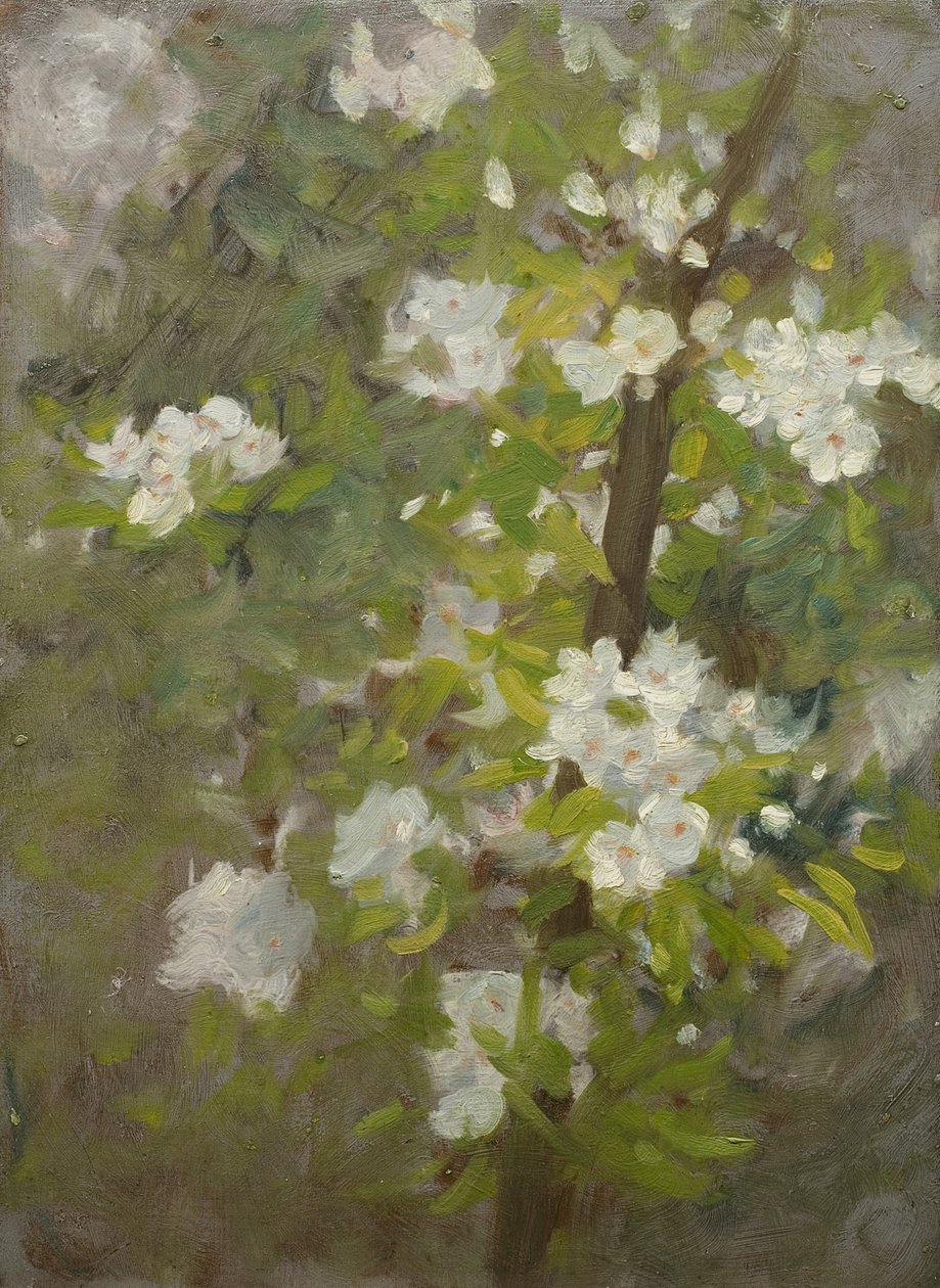 Bílý květ od Henry Scott Tuke