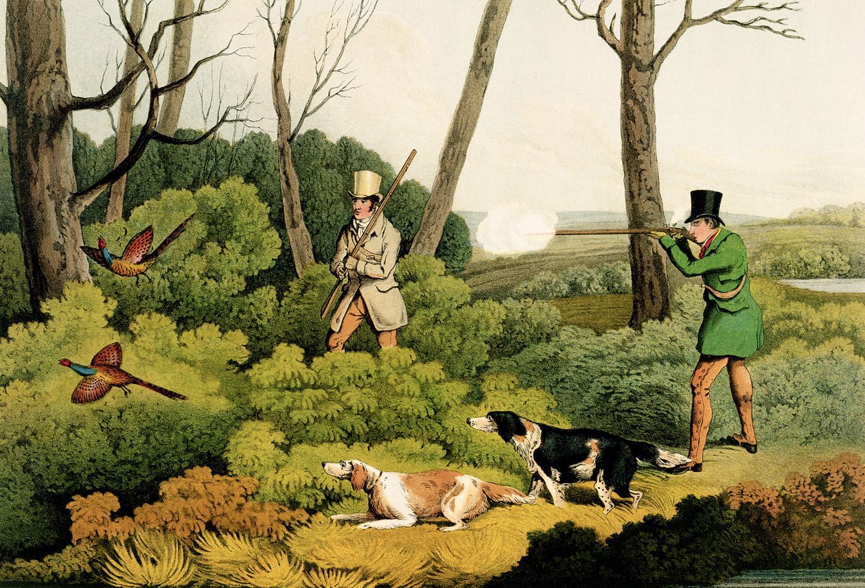 "Střelba na bažanty", vydal Thomas McLean, 1820 (tisk) od Henry Thomas Alken