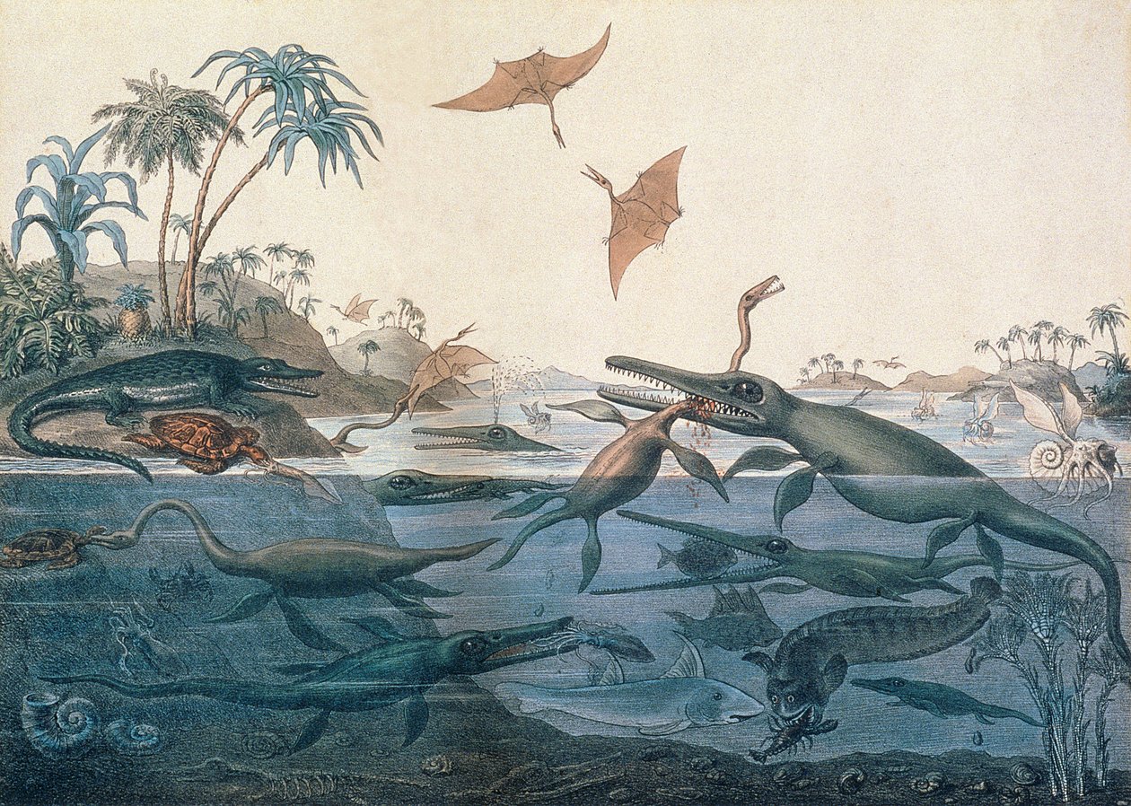 Duria antiquior (starověký Dorset), nápaditá rekonstrukce života jurských moří, vyryla George Scharf (1820-95), tiskl Charles Joseph Hullmandel (1789-1850) od Henry Thomas De La Beche