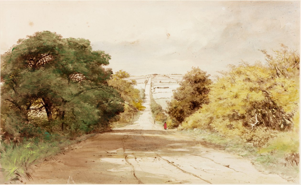 Harlow Hill (barva karoserie) od Henry Burdon Richardson