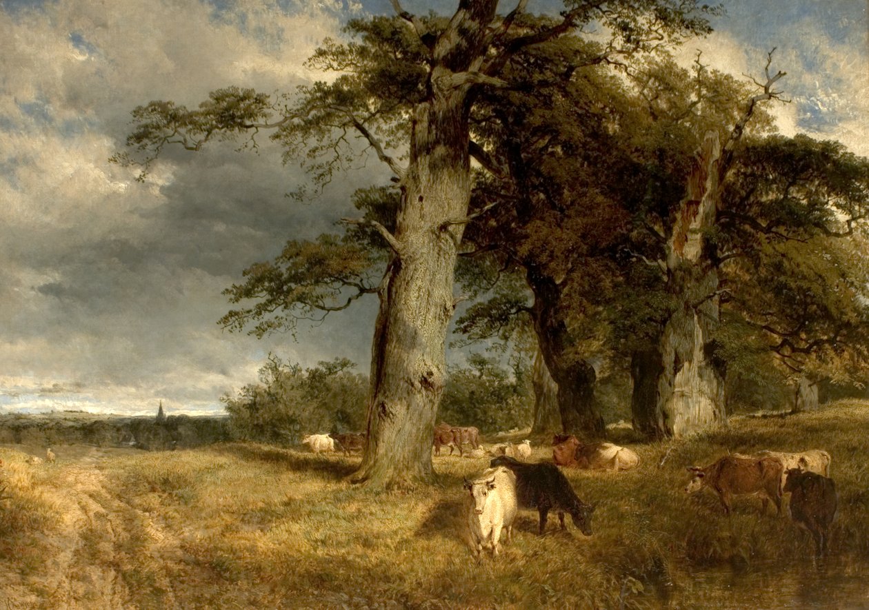 Krajina v Dukeries, Nottinghamshire, 1850 od Henry Dawson