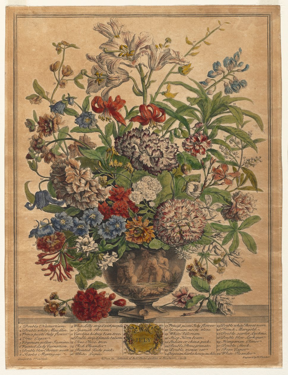 Dvanáct měsíců květů: červenec 1730. od Henry Fletcher