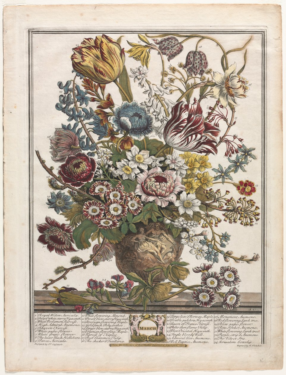 Dvanáct měsíců květů: březen 1730. od Henry Fletcher