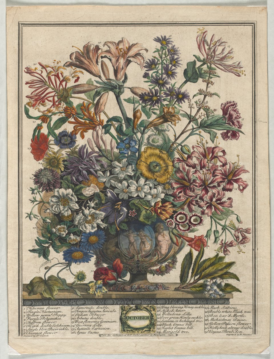 Dvanáct měsíců květů: říjen 1730. od Henry Fletcher