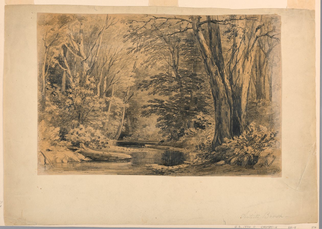 Kresba, Potok v lese, 1854 od Henry Hitchings