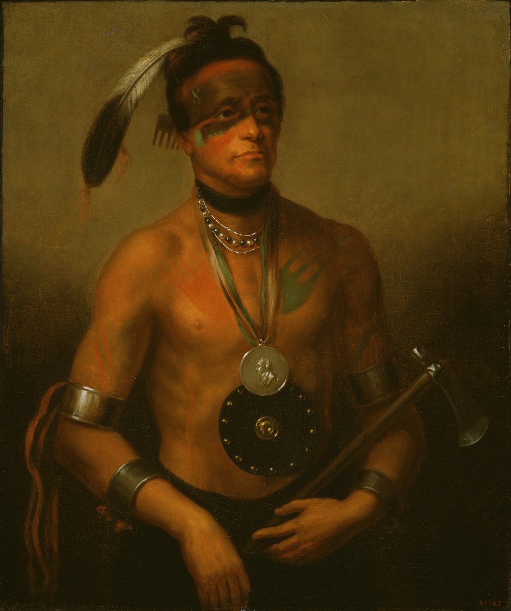 Hoo-Wan-Ne-Ka (Malý los) od Henry Inman