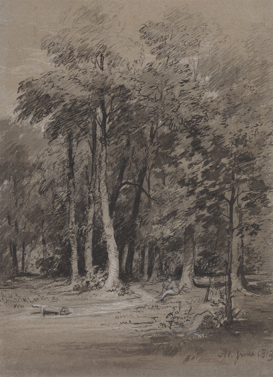 Zalesněná dráha od Henry Monro