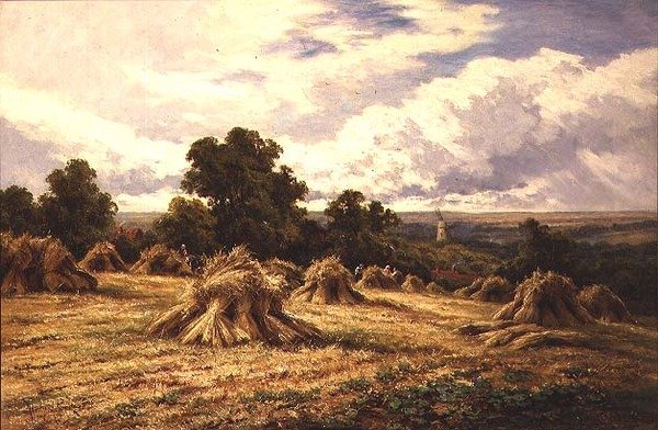 Sklizené pole od Henry Parker