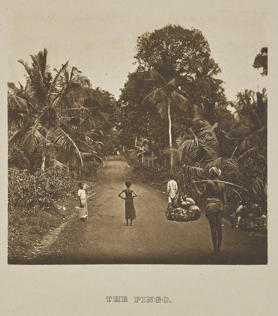 Pingo od Henry W. Cave