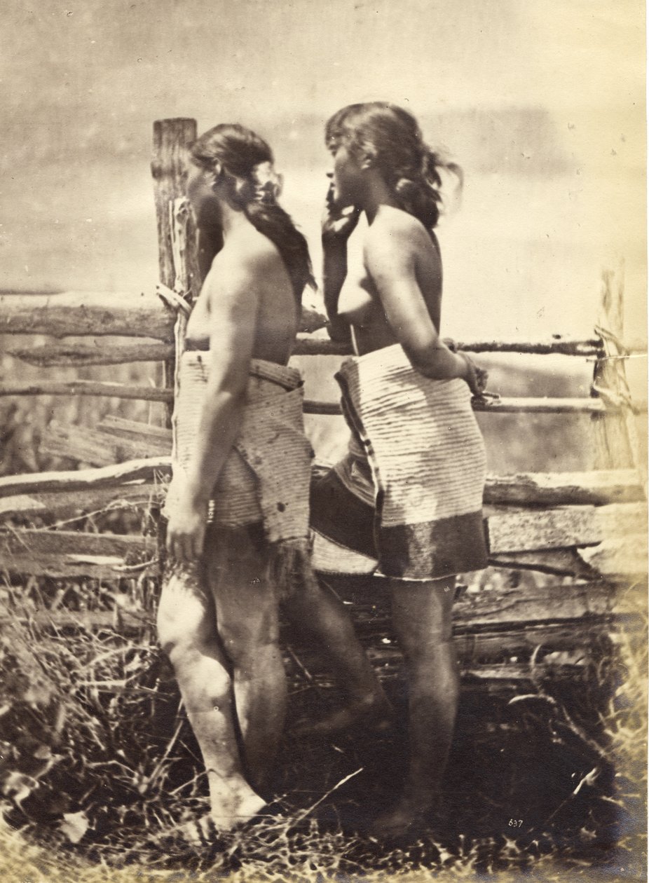 Maori Study, kolem roku 1870 (tisk alba) od Herbert Deveril