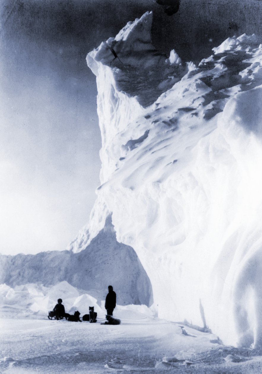 Psí tým odpočívá během expedice Terra Nova, 1910 od Herbert Ponting