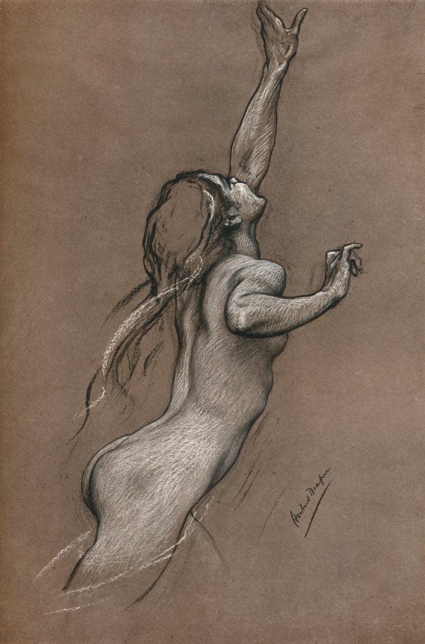 Studie létajících ryb, c1910 od Herbert James Draper
