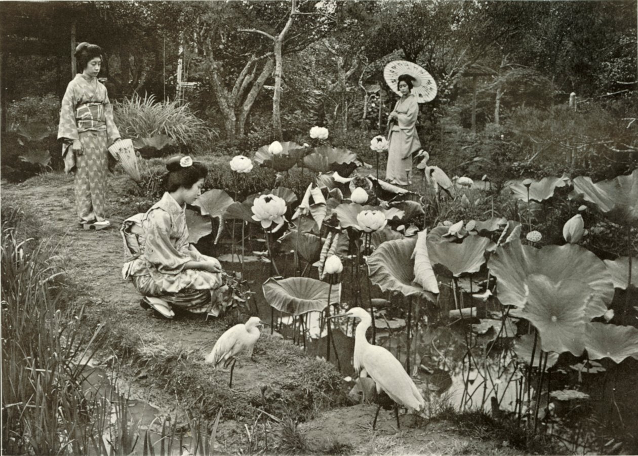 V Lotosové zemi, 1910. od Herbert Ponting