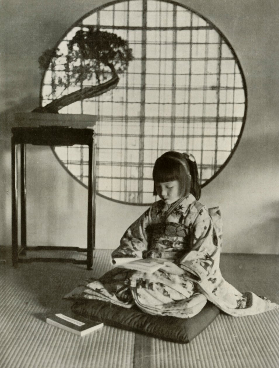 Obrazová kniha, 1910. od Herbert Ponting