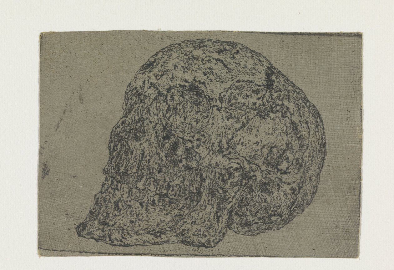 Lebka od Hercules Segers
