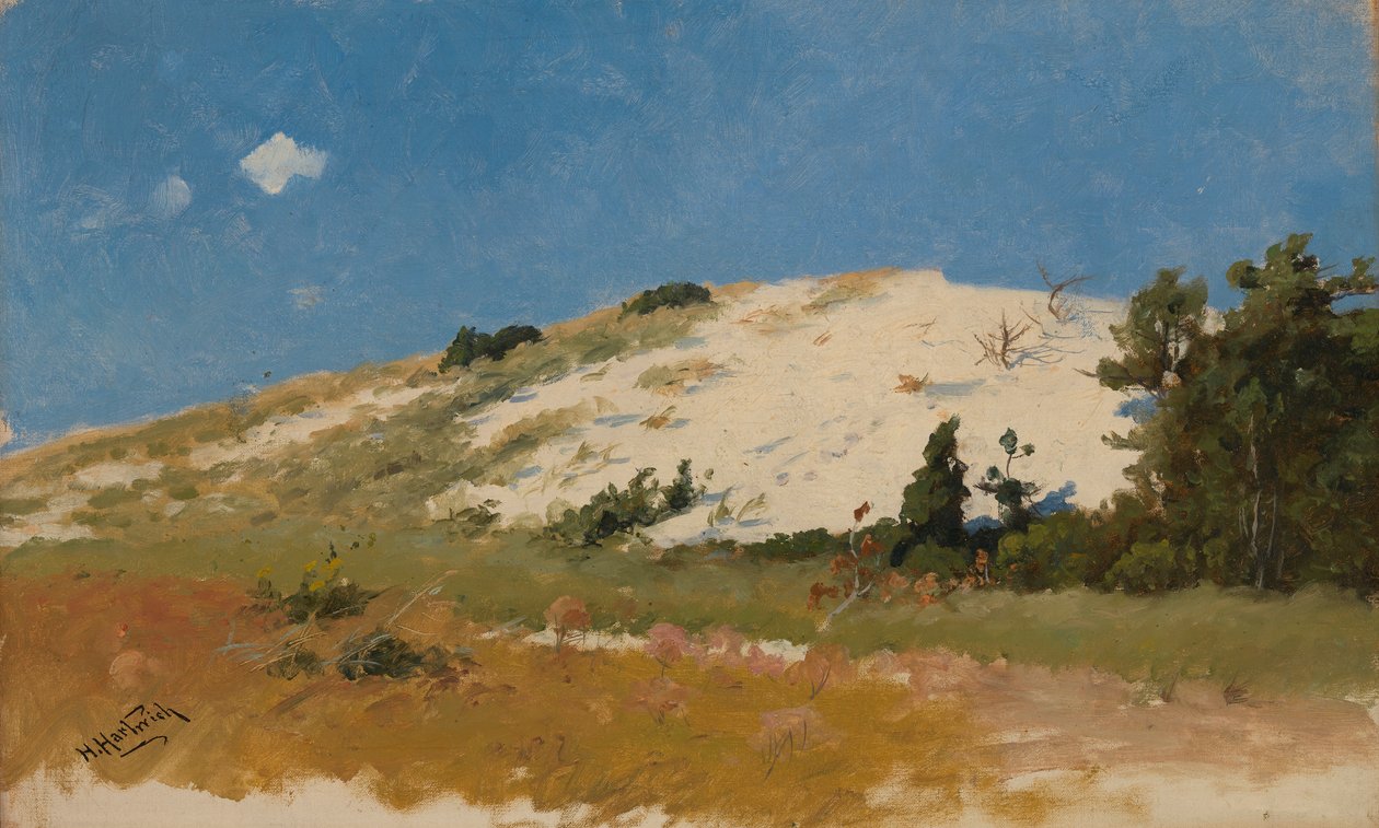 Cape Cod, Sand Dune, 1894. od Herman Hartwich