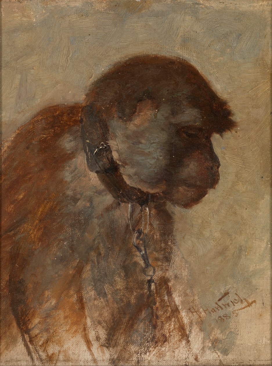 Meditace, 1885. od Herman Hartwich