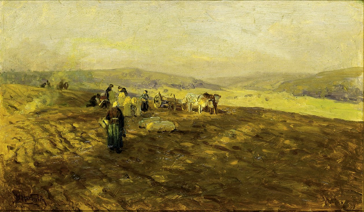 Sběrači brambor od Herman Hartwich