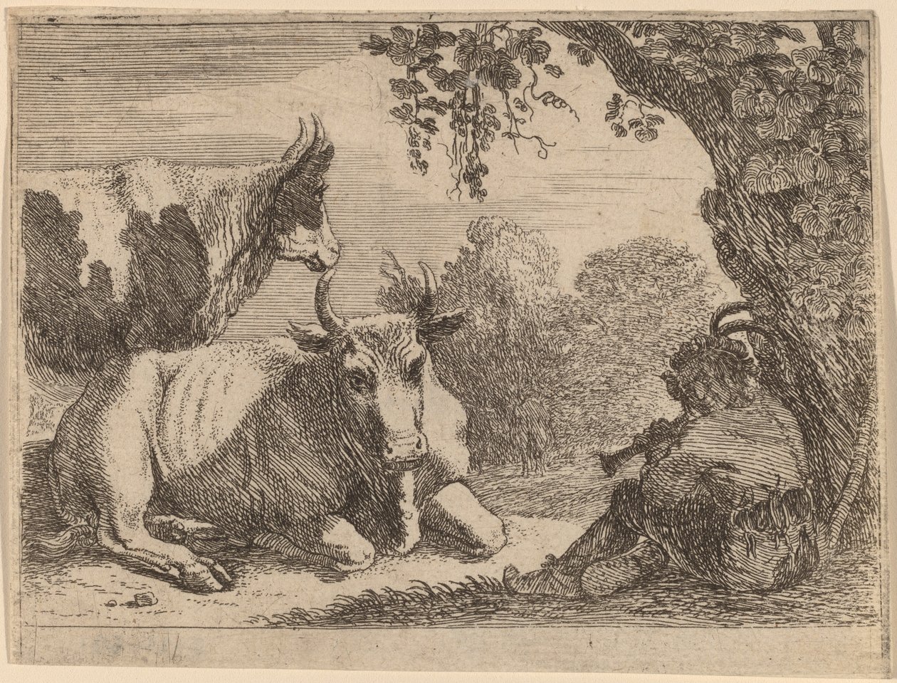 Krávy od Herman van Swanevelt