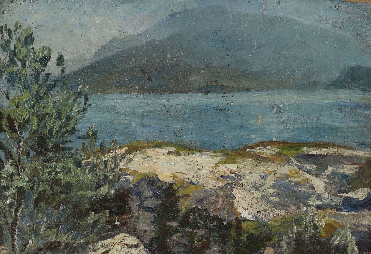 Letní jezero od Hermann Pleuer