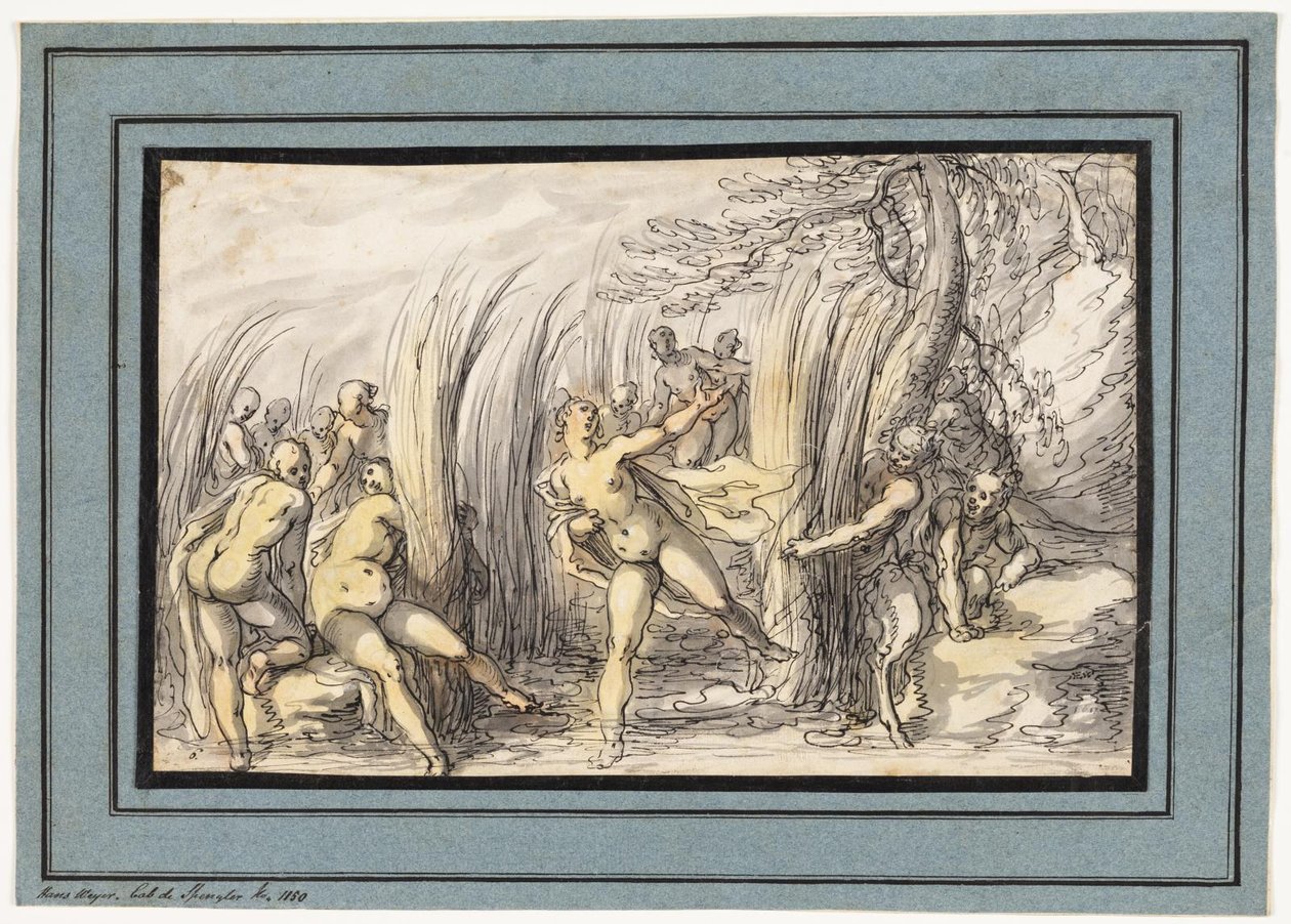 Nymfy pronásledované satyry od Hermann Weyer