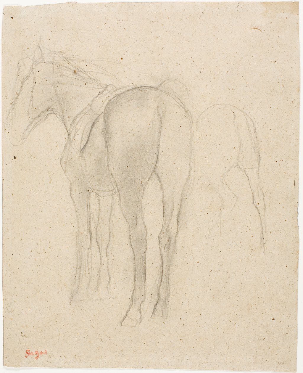 Studie koně od Hilaire Germain Edgar Degas