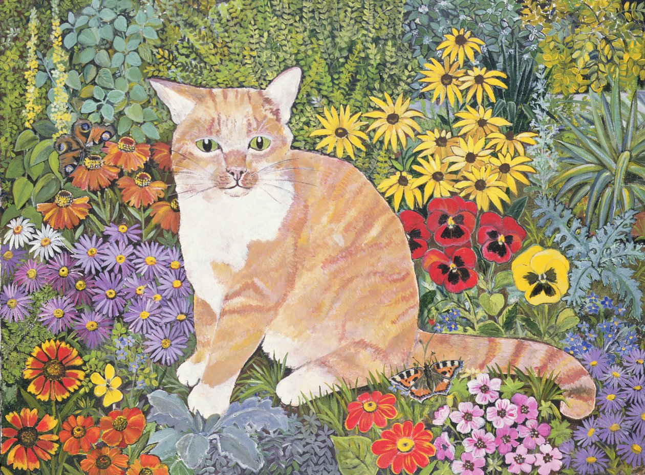 The Carpenters Cat od Hilary Jones