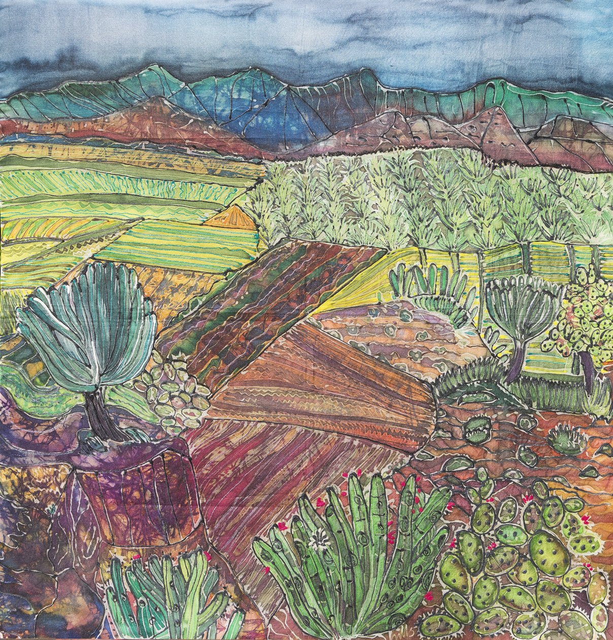 Krajina Oaxaca od Hilary Simon