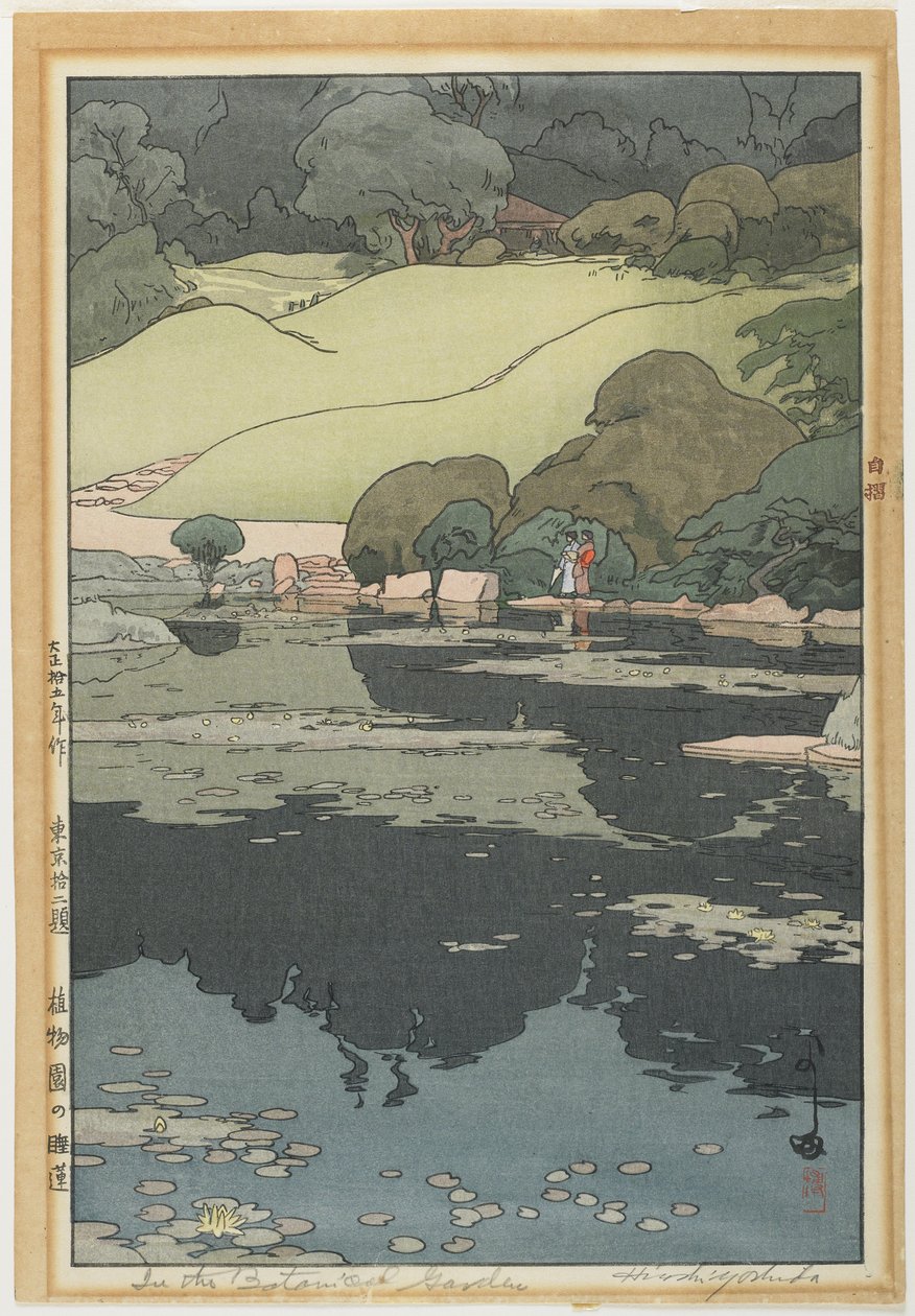 Lekníny v botanické zahradě od Hiroshi Yoshida