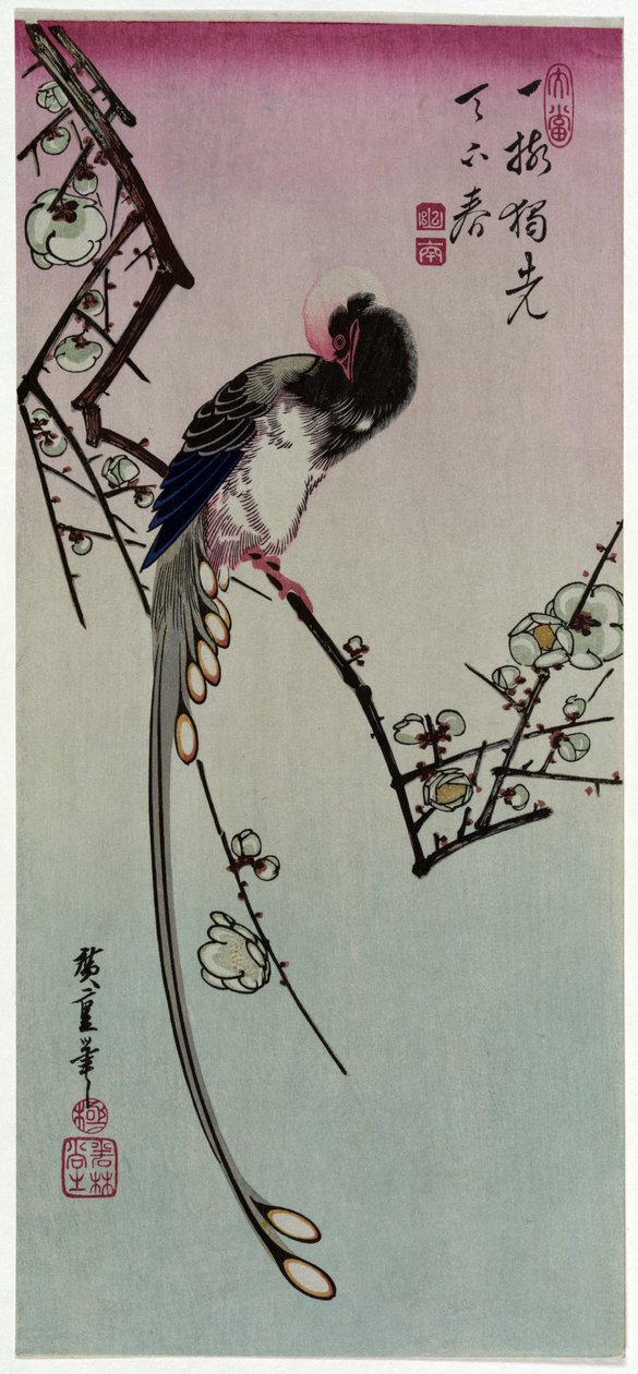 Švestka a dlouhoocasý pták od Utagawa Hiroshige