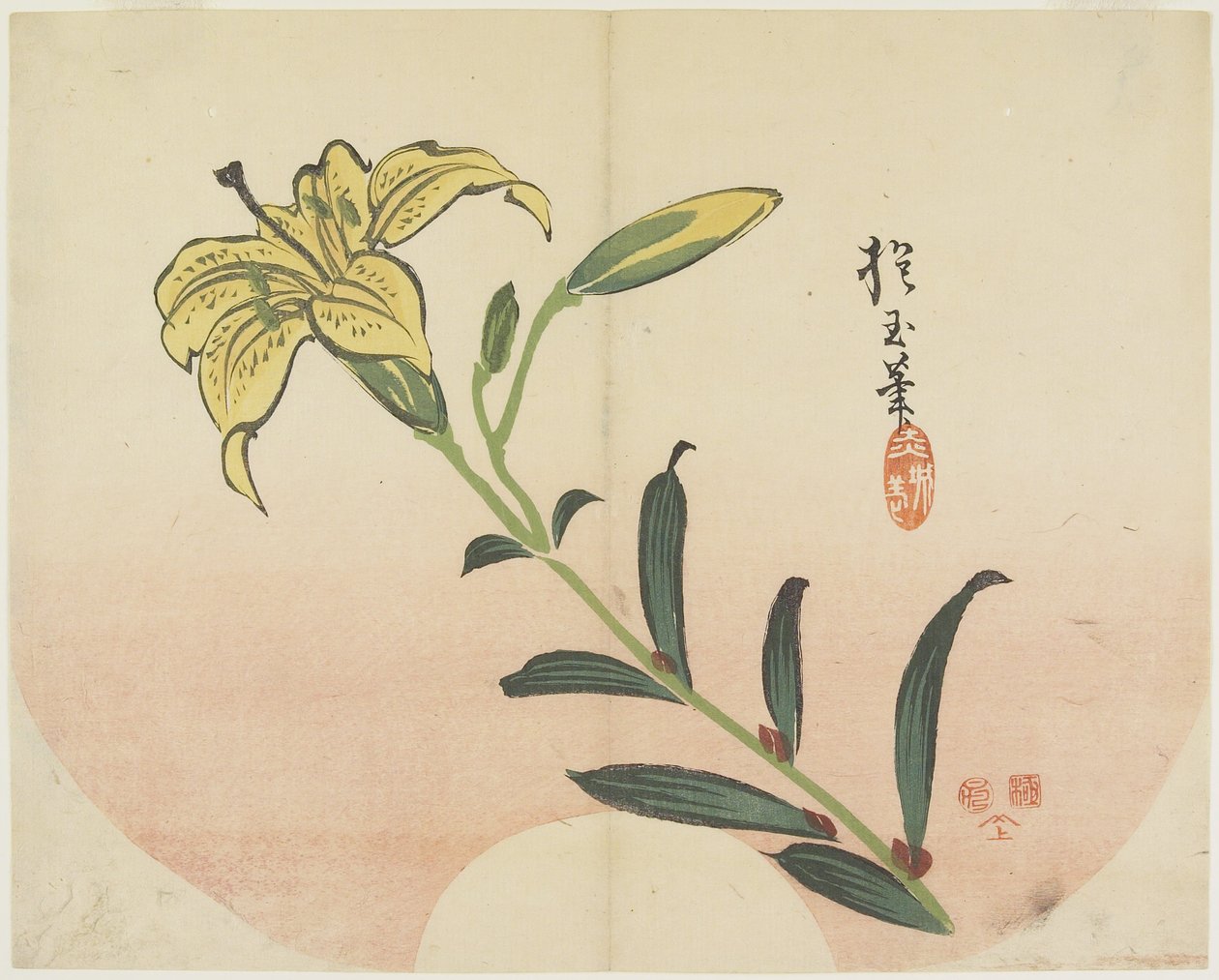 (Lily), 1839 od Hogyoku
