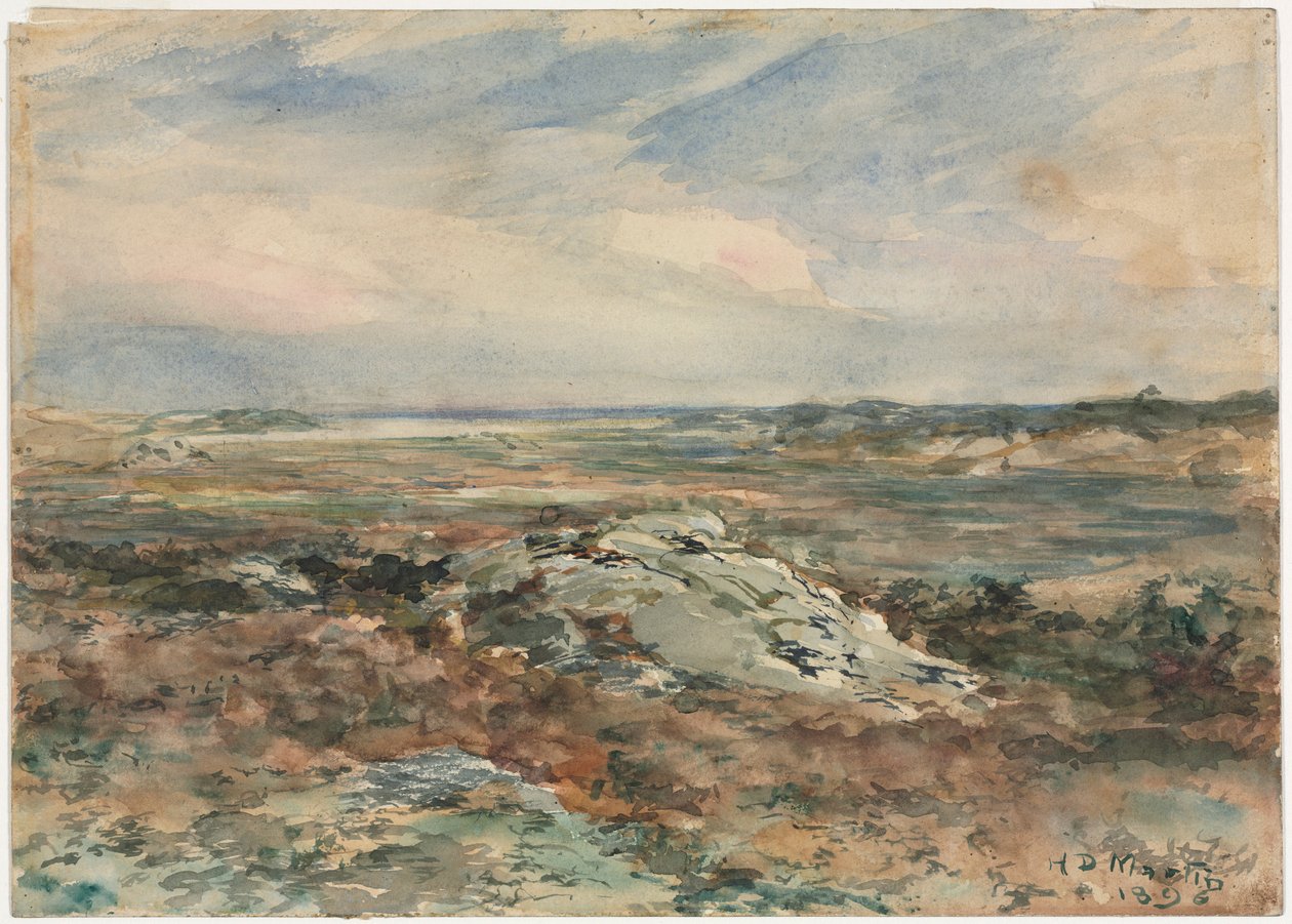 Krajina, 1896. od Homer Dodge Martin