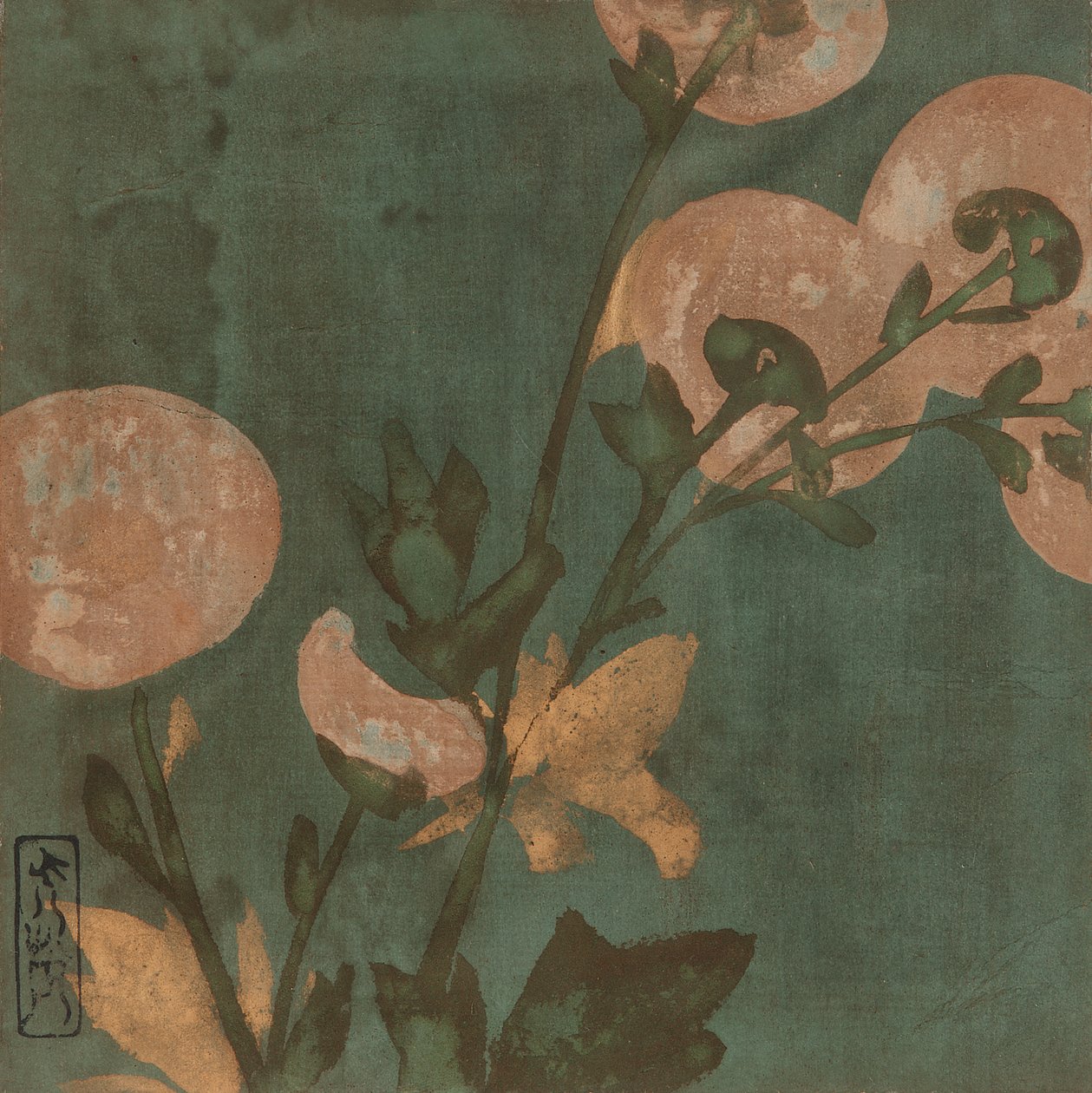 Chrysanthemums, Edo period, late 16th-early 17th century.     1199857   cs       czech Successfully Translated  Original: Ontwerp voor een politieke spotprent: twee heren bedekken een staande naakte vrouw met vijgebladeren Translat: Ontwerp voor een politi od Hon