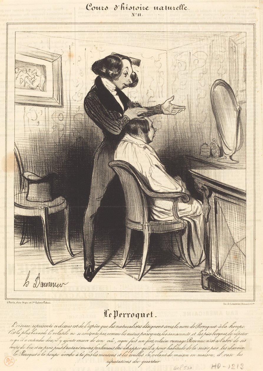 Papoušek od Honoré Daumier