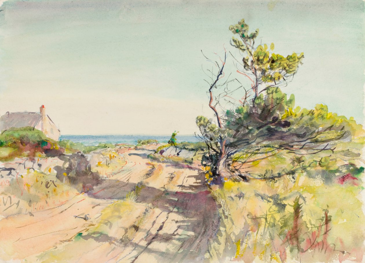 Bez názvu, konec 19.-začátek 20. století. od Howard Russell Butler