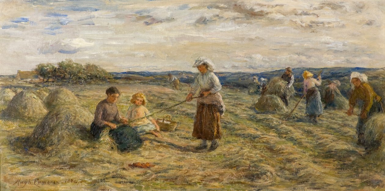 Senoseč od Hugh Cameron