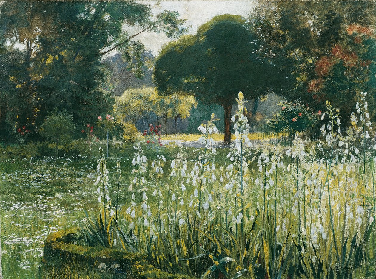 Letní hyacinty (Galtonia) od Hugo Charlemont