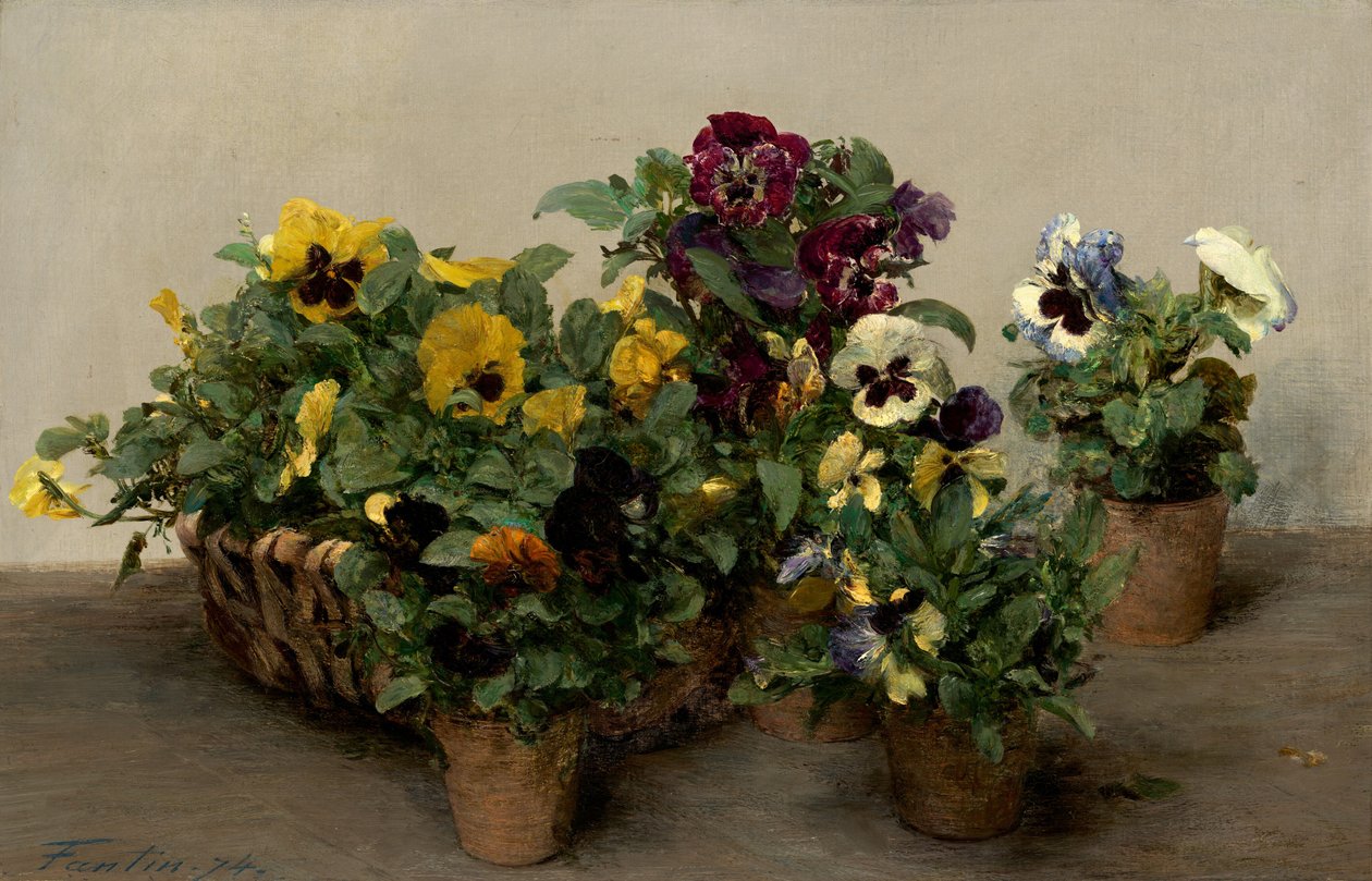 Macešky od Ignace Henri Jean Fantin Latour