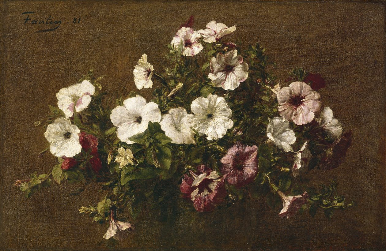 Petúnie, 1881 od Ignace Henri Jean Fantin Latour